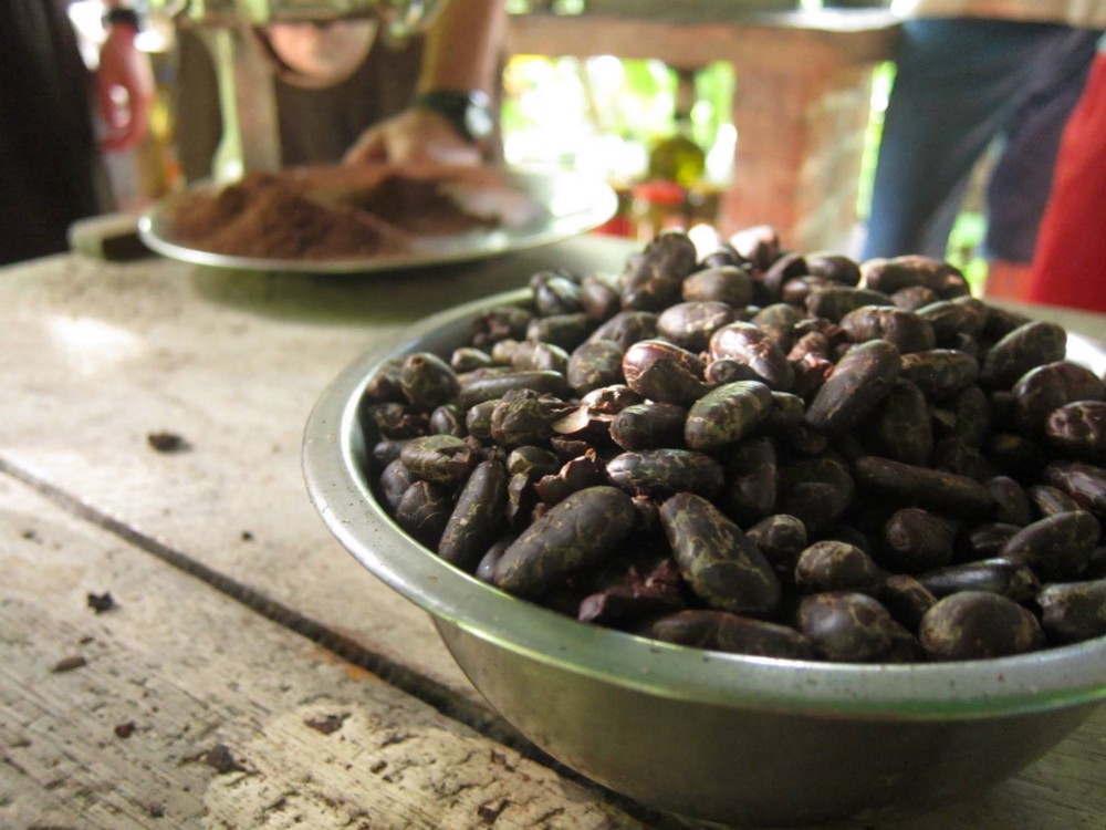 Making chocolate on a farm on Ometepe Island